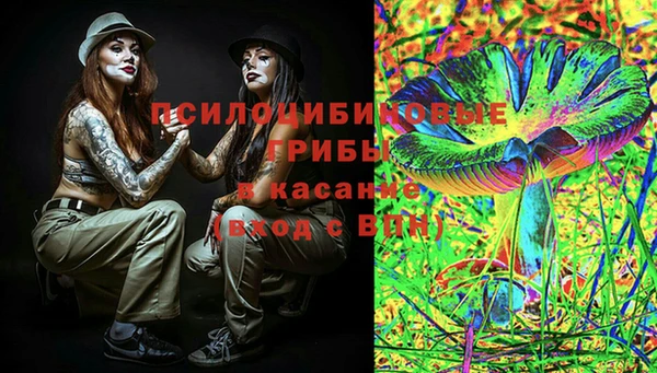 ПСИЛОЦИБИНОВЫЕ ГРИБЫ Верхнеуральск