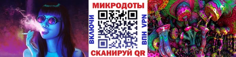 закладки  Новохопёрск  нарко площадка телеграм  Псилоцибиновые грибы MAGIC MUSHROOMS  omg онион 